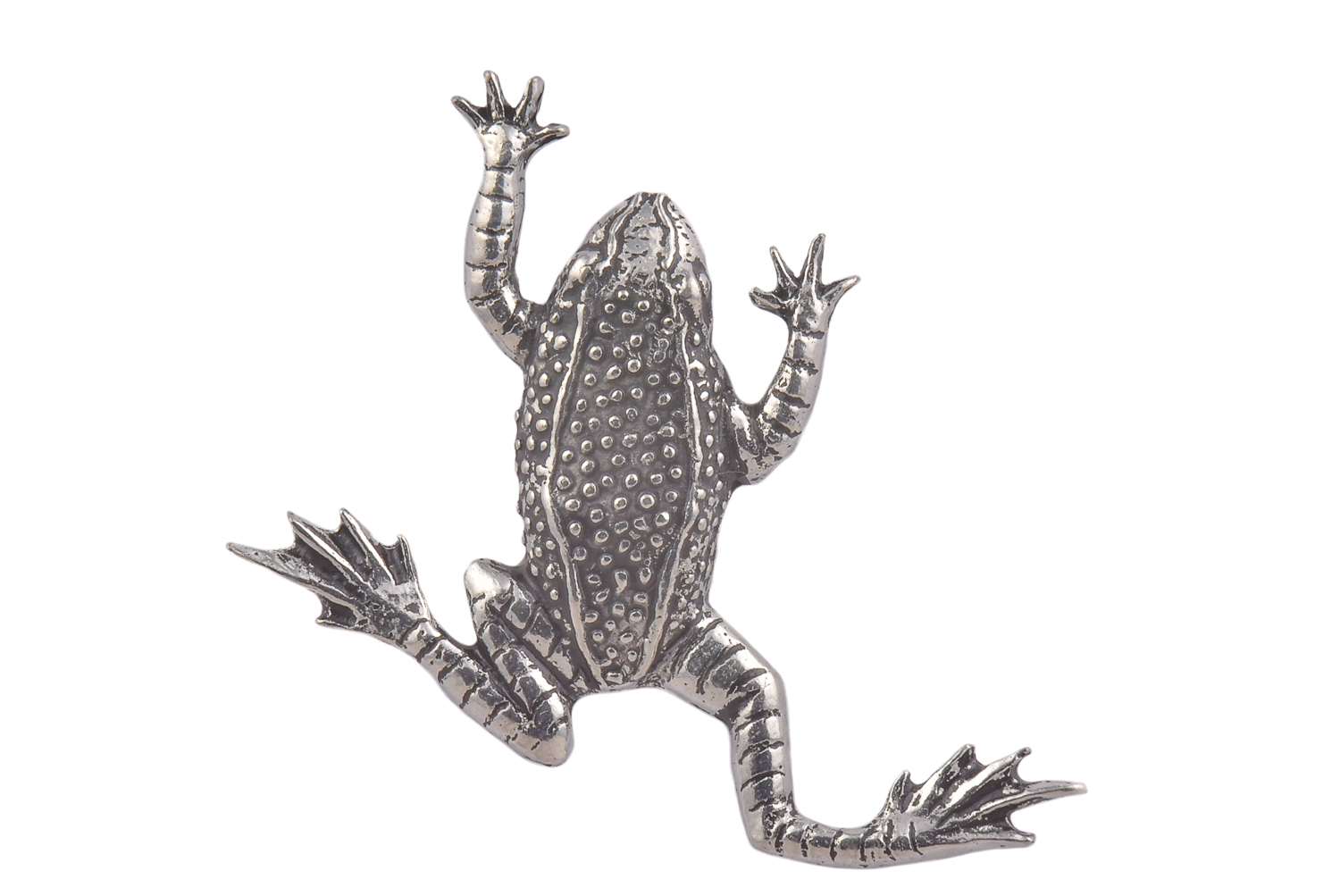 CGHL0020.jpg Lapel Pin - Frog - Image 1
