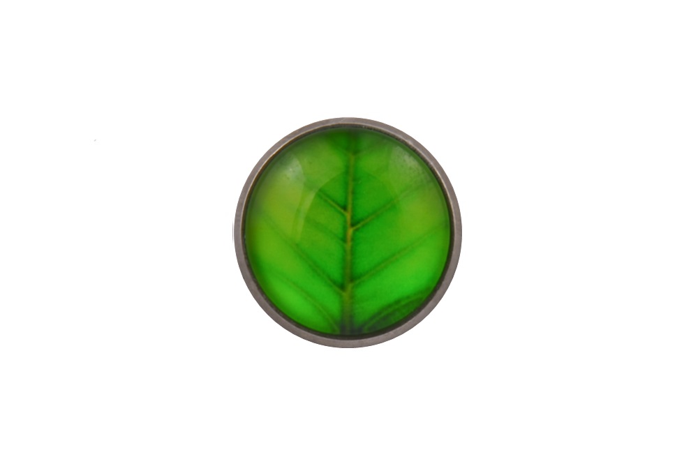 CGHL0076.jpg Leaf Lapel Pin Badge - Image 1
